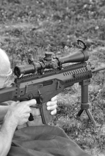 IMG_1336-1200x797_ff